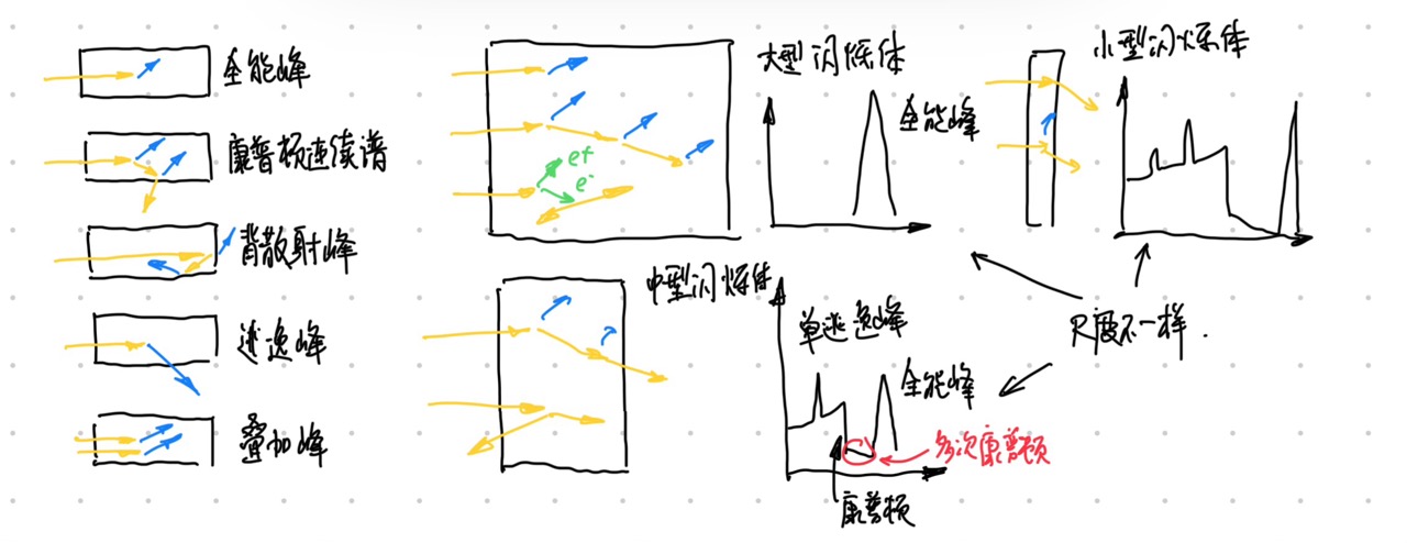 /_img/particle-detector/energy-spectrum-in-scintillation-detector.jpg